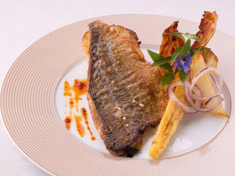 Logis Hotel Restaurant Solenca นอกาโร ภายนอก รูปภาพ